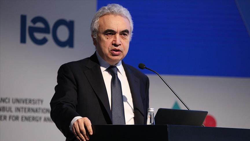 IEA Outlines Plan to Accelerate Renewable Power Project for Mitigating European Energy Crisis