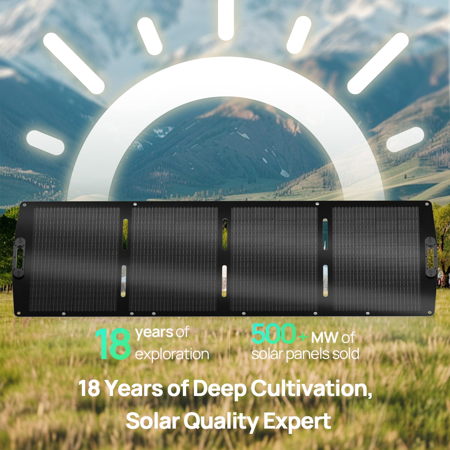 ECO-WORTHY 200W Portable Solar Panel for Outdoor Camping RV