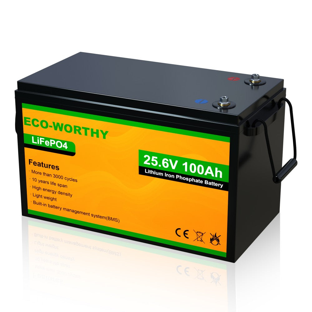 LiFePO4 24V 100Ah Lithium Iron Phosphate Battery, 1 Pack