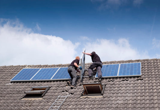 The US Solar Industry in 2021- Rising Price but Strong Demand - ECO-WORTHY