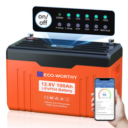 ECO-WORTHY 12V 100Ah LiFePO4 Lithium Battery with SOC Display
