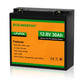 B2B - LiFePO4 12V 10Ah Lithium Iron Phosphate Battery - lithium battery - ECO - WORTHY