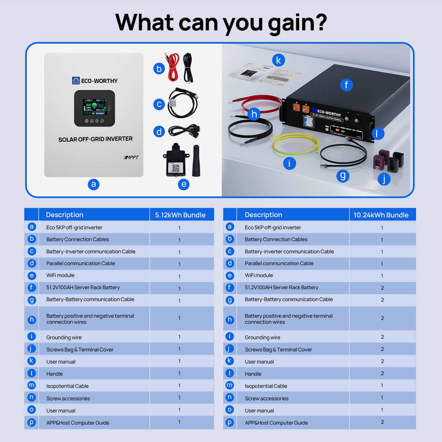 Off Grid Home Power Bundle | 5kW Inverter with 48V 100AH Server Rack Battery
