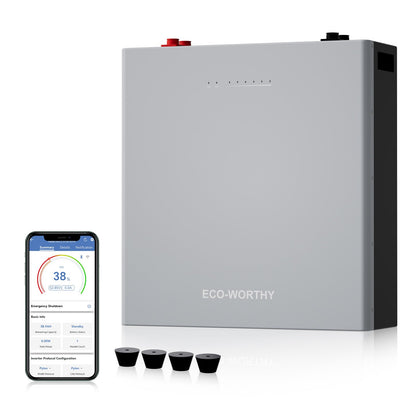 ECO-WORTHY 48V 100AH Wall-Mount Battery | Bluetooth & WiFi | Low - Temp Ready | 10 Years Warranty-lithium battery-ECO-WORTHY