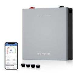 ECO-WORTHY WALLBANK S100 48V 100AH Wall-Mount Lithium Battery| Bluetooth & WiFi | 10 Years Warranty
