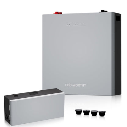 ECO-WORTHY WALLBANK S100 48V 100AH Wall-Mount Lithium Battery| Bluetooth & WiFi | 10 Years Warranty - lithium battery - ECO-WORTHY