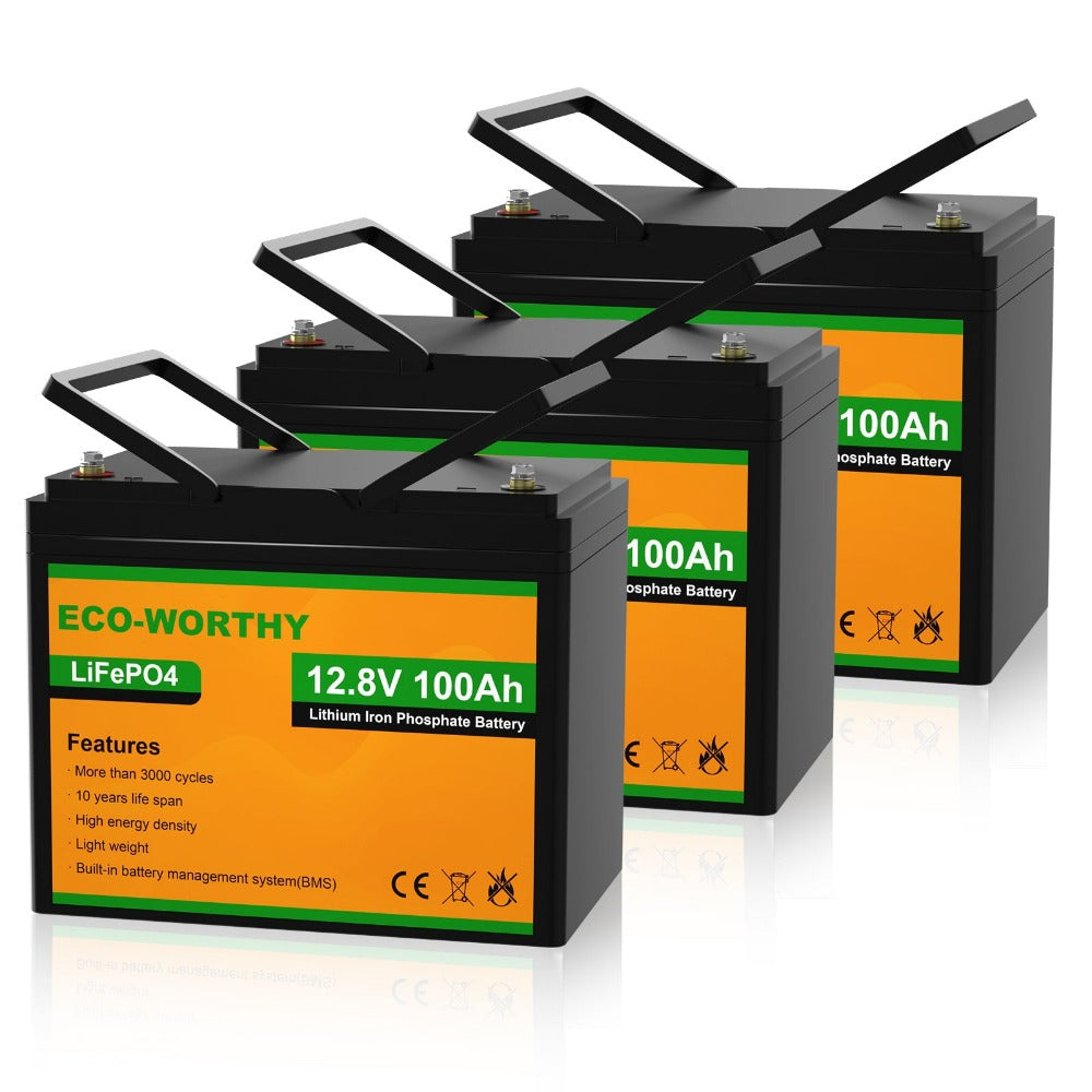 Eco-Worthy 12V 100AH LiFePO4 Lithium Battery Rechargeable BMS for RV Solar  Panel 