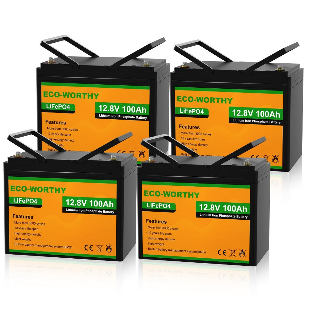 Introducing The Eco-worthy 12v 100ah Lifepo4 Battery - Find Out What's  Inside The Box! 