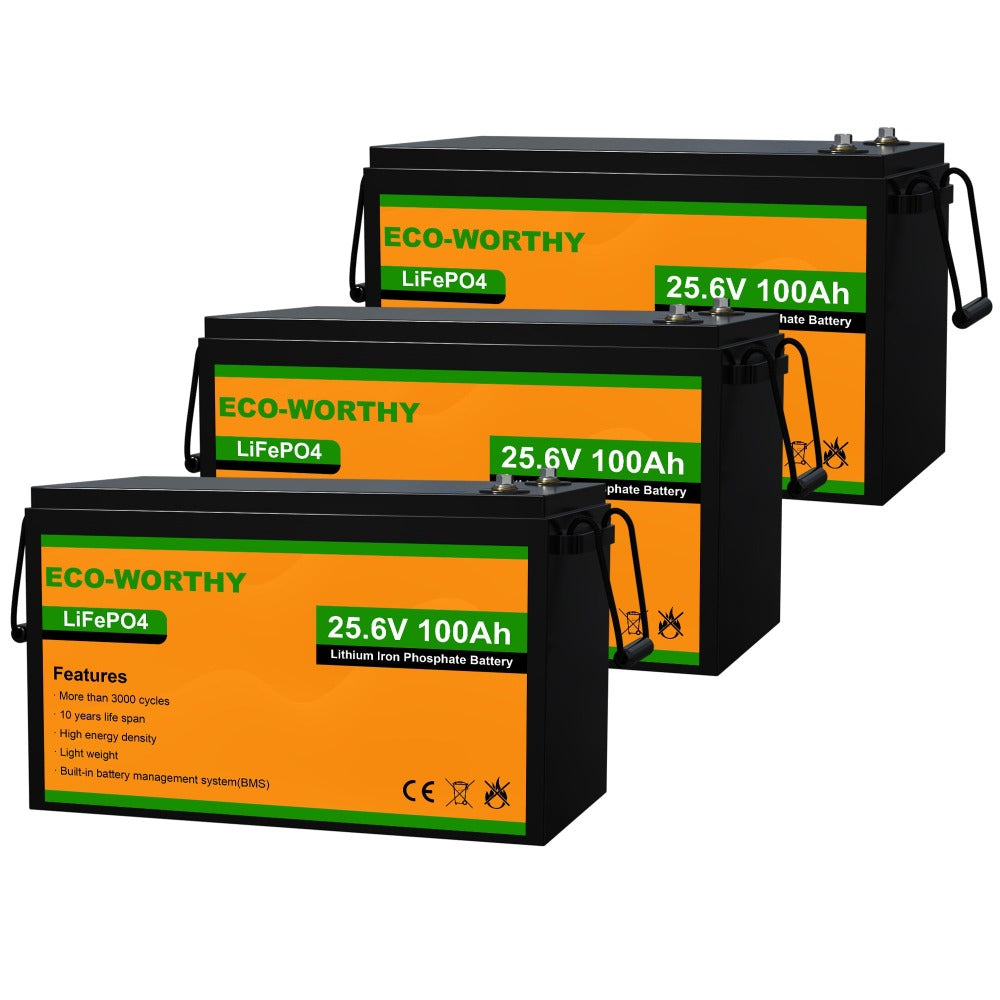 KEPWORTH 24V 100Ah 2560Wh Lithium LiFePO4 Battery Deep Cycle Lithium Iron  Phosphate Rechargeable Battery Built-in BMS, Perfect for