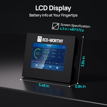 ESM100 Battery Monitor for Cubix Series and Wall-Mount Batteries