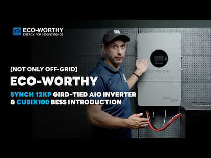 ECO-WORTHY 12kW 30kWh Hybrid Home Backup Power Storage System with 48V 100ah Battery and 12kW Hybrid Inverter