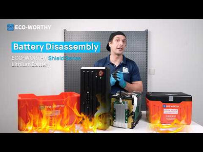 Eco-Worthy 12V 300AH Lifepo4 Lithium Battery | Bluetooth with SOC LED | Low Temp Protection