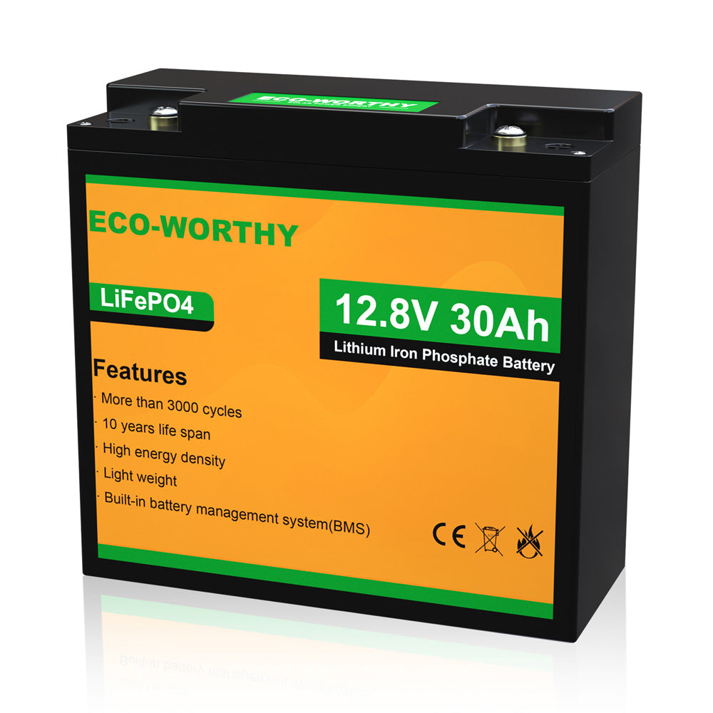 LiFePO4 12V 10Ah 20Ah 30Ah Lithium Battery